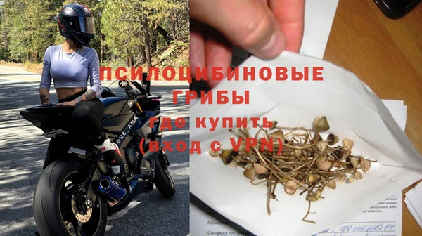 герыч Козельск