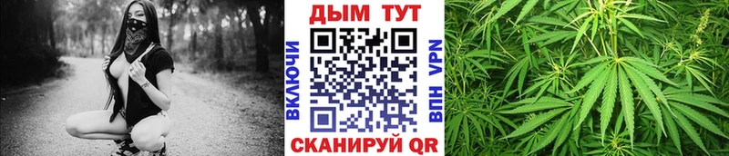 Шишки марихуана конопля Киренск